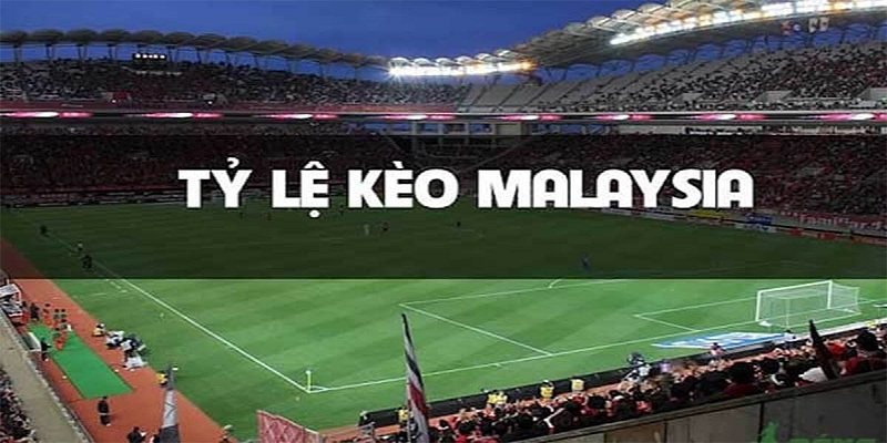 Tìm hiểu về tỷ lệ kèo Malaysia