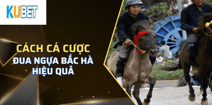 Một số quy định khi tham gia Đua Ngựa Bắc Hà Kubet
