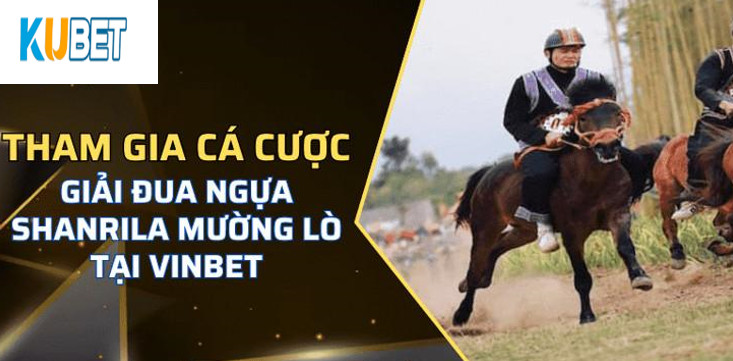 Trải nghiệm Giải Đua Ngựa Shanrila Mường Lò Kubet tại Kubet