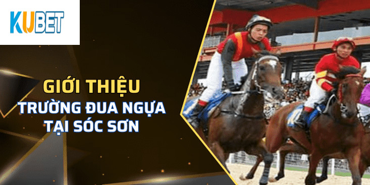 Thông tin chung về trường Đua Ngựa Sóc Sơn Kubet