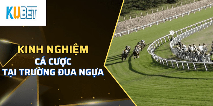 Kinh nghiệm cá cược Trường Đua Ngựa Kubet